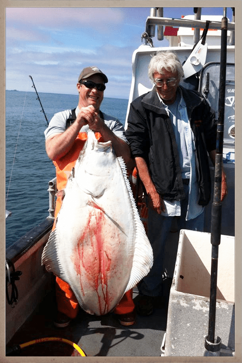 another halibut